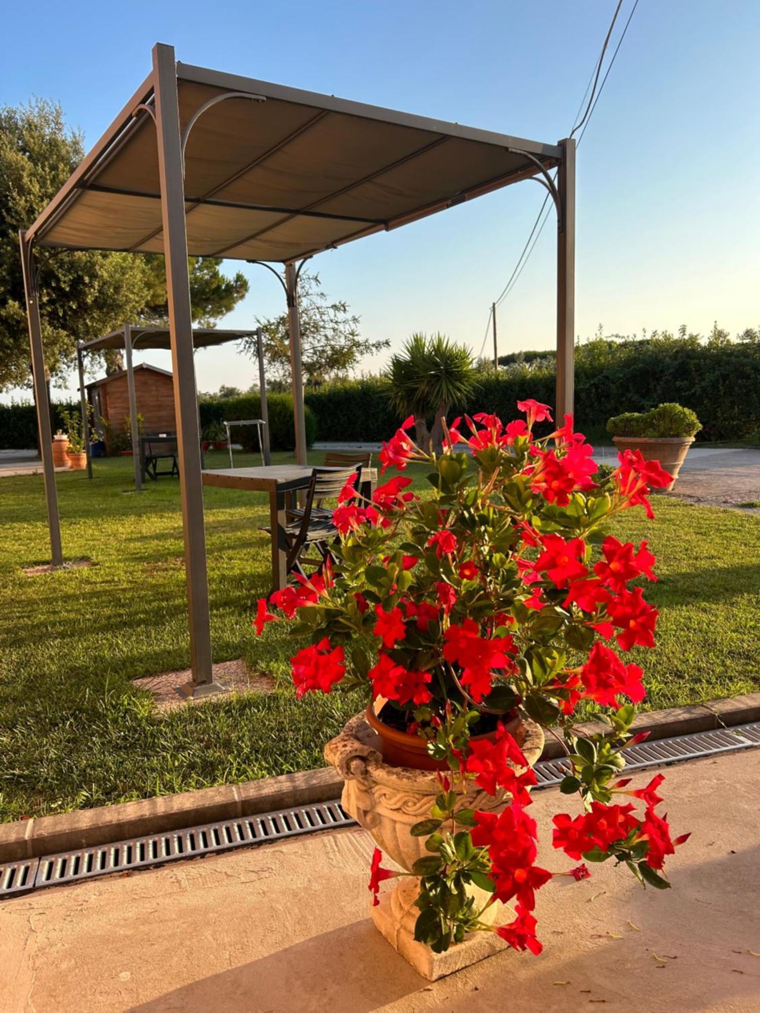 Agriturismo Da Michele E Carmela Di Voli Patrizia Donoratico Eksteriør bilde